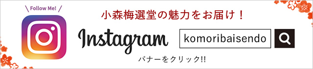 紀州梅の通販なら梅の専門店【小森梅選堂】